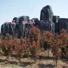 ޿