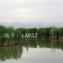 ĺ֮
