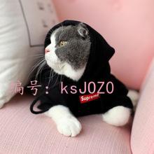 㶫ʡ